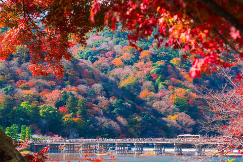 Kyoto/Osaka: Nara, Fushimi Inari, Arashiyama GanztagestourAb Osaka Ohne Zugticket