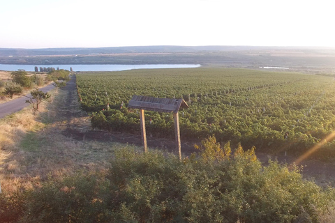 Kiszyńcu: wycieczka po mieście i winnica Cojusna z degustacjąKiszyniów: wycieczka po mieście i wizyta w winnicy Cojusna z degustacją