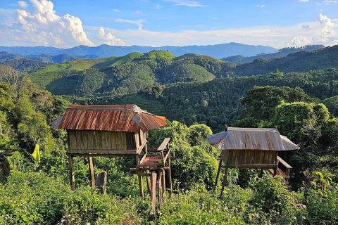 Retiro de bienestar en la naturaleza