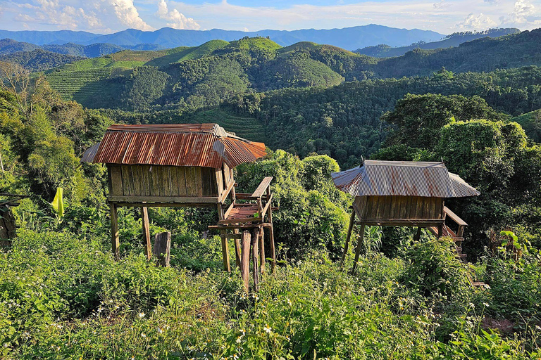 Retiro de bienestar en la naturaleza