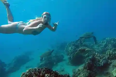 Hilo: Tour di snorkeling con le tartarughe marine
