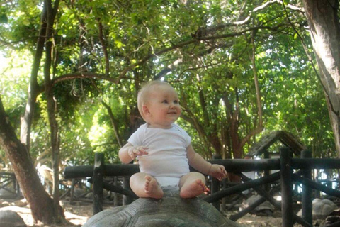 桑给巴尔：石头城、监狱岛和萨拉姆洞海龟