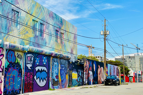 Les 3 quartiers emblématiques de Miami en 3,5h - en français