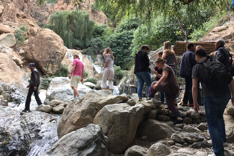 Marrakech: Montañas del Atlas, Valle del Ourika, almuerzo y paseo en camello