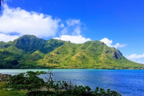 Oahu Circle Island Tour - Best Spots & Beaches