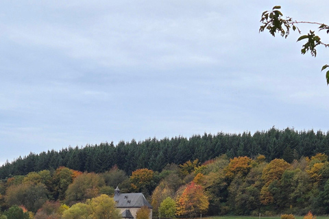 Guided hike on the Rhine Heights Tour St. Quintin