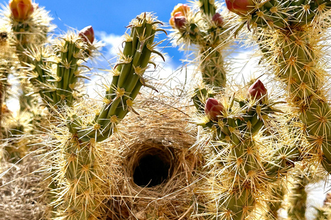 Las Vegas: Small-Group Grand Canyon Skywalk, Hoover Dam Tour