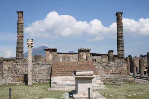 Tour from Naples : Vesuvius & Pompeii by Bus + Entry Tickets Tour from Naples to Pompeii & Vesuvius + Entry Tickets
