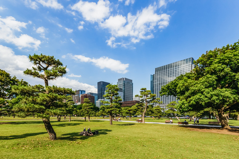 Tokyo: Hop-On Hop-Off Sightseeing bussbiljettBussbiljett för sightseeing i Tokyo samma dag (12 h)