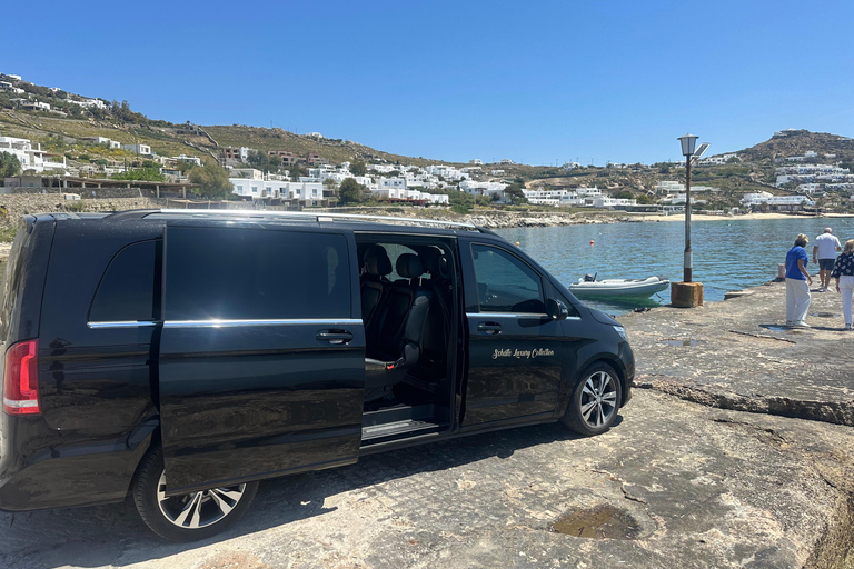 Visite de 4 heures à Mykonos en espagnol4 heures de visite de Mykonos en anglais