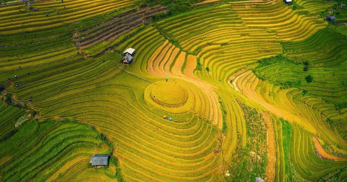 2-Day Motorbike Tour to Mu Cang Chai Loop from Sapa | GetYourGuide