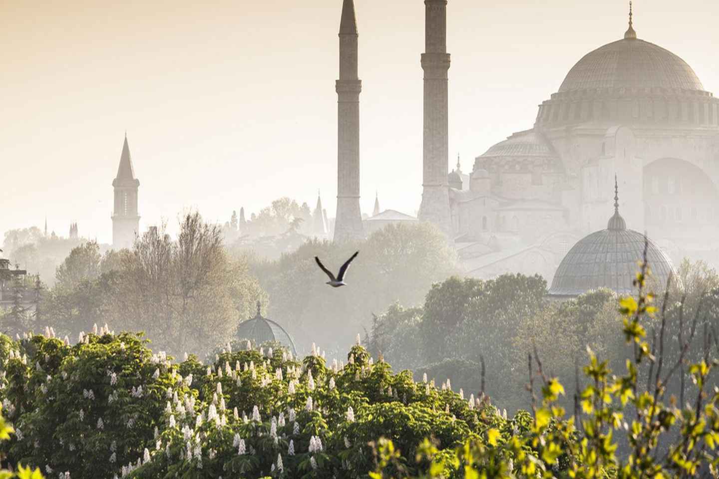 Istanbul: Luxury Istanbul Old City Private Day Tour