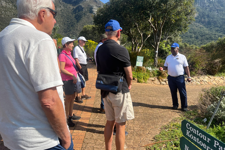 Cape Town: Kirstenbosch Gardens and City Tour with Lunch