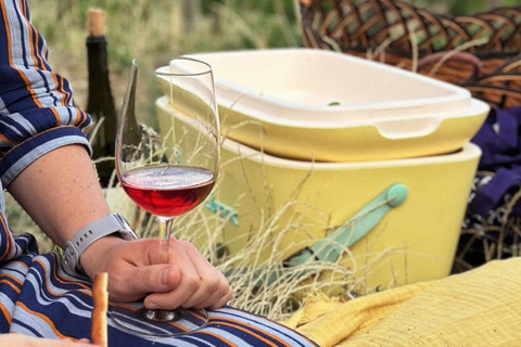 Bratislava: Vineyard Walk and Wine Picnic with Winemaker