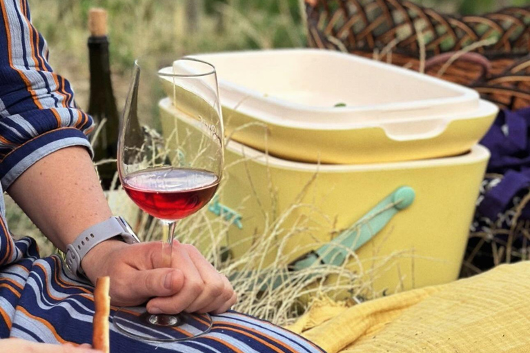 Bratislava: Vineyard Walk and Wine Picnic with Winemaker