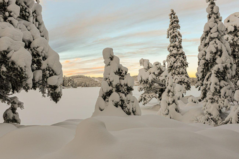 Nordmarka: Overnight Camping Experience in a Hover Tent