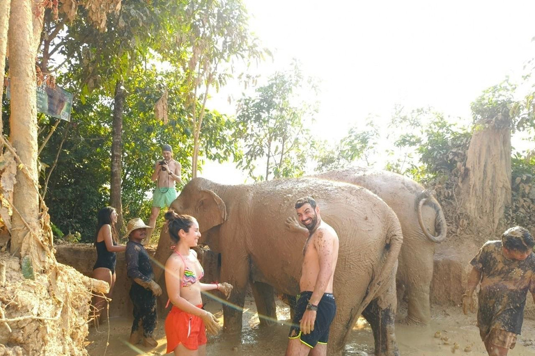 Siem Reap: Elephant Sanctuary Cambodia, Pickup and Drop Off