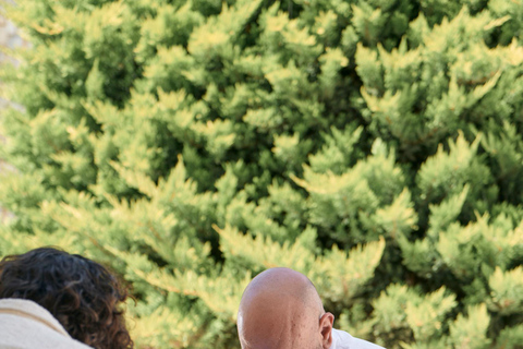 Mykonos: Hands-On Cooking Class with a Professional Chef