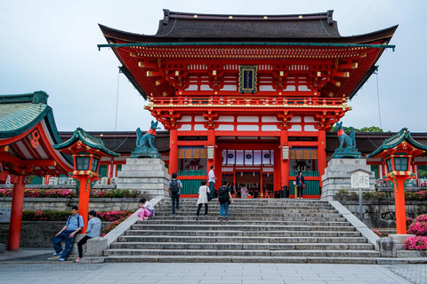 Da Osaka:Tour privato di Kyoto e Nara (autista parlante inglese)Kyoto: Tour panoramico privato con autista che parla inglese