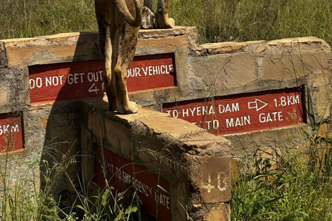 Nairobi National Park 5-Hour Game Drive Morning or Afternoon