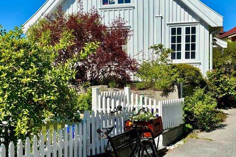 From Oslo: Drøbak and Oscarsborg Fortress Day Trip