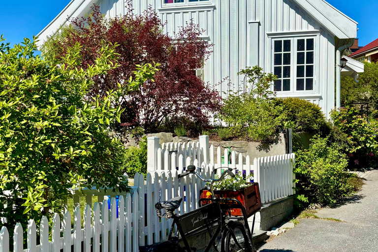 From Oslo: Drøbak and Oscarsborg Fortress Day Trip