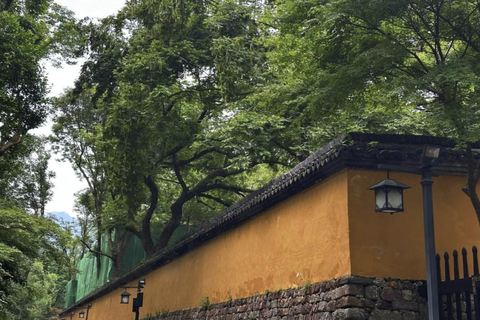 From Shanghai: West Lake Hiking Day Trip with Longjing Tea private tour option