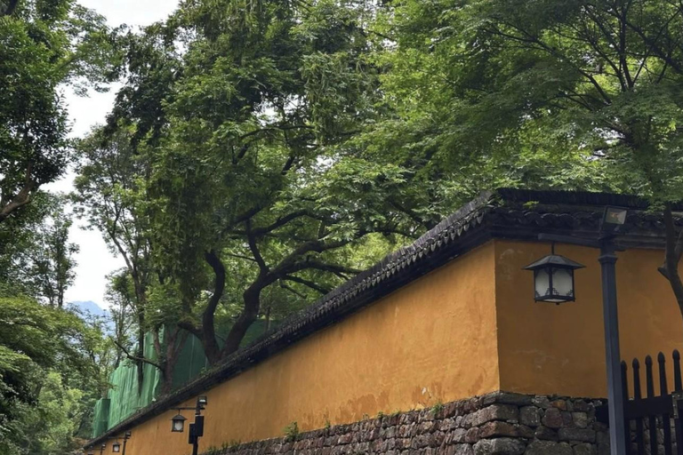 From Shanghai: West Lake Hiking Day Trip with Longjing Tea private tour option