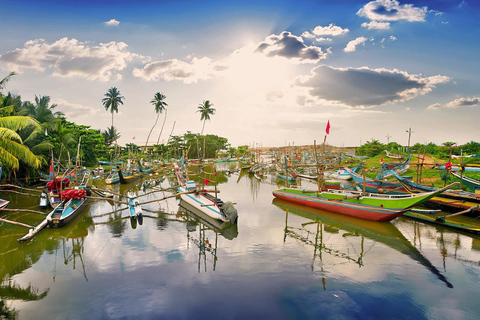 Colombo to Galle: Coastal Culture & Cinnamon Experience