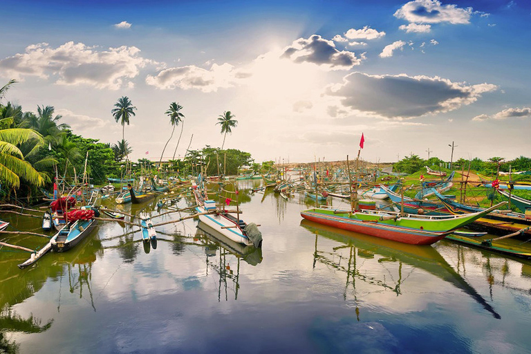 Colombo to Galle: Coastal Culture & Cinnamon Experience