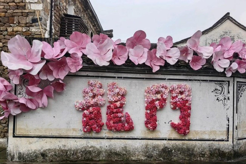 Shanghai: Fuyang Bayberry Picking & Ancient Town Day Trip