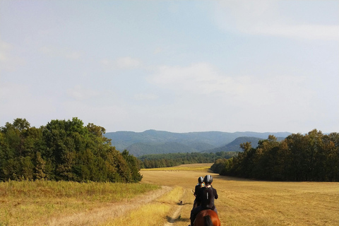 Azores: Scenic Horseback Ride with Coastal Views