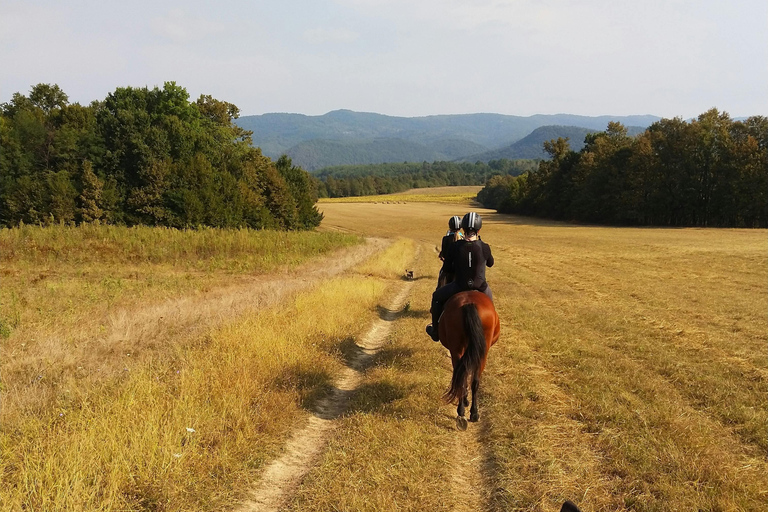 Azores: Scenic Horseback Ride with Coastal Views
