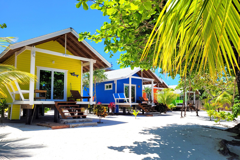 Private: Catalina Island Day Tour from La Romana