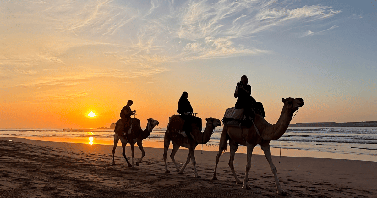Best Bali Camel Ride Experience with Sunset in Kuta | GetYourGuide