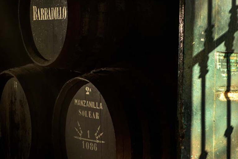 Cádiz: Bodegas Barbadillo Tour & Wine Tasting Cádiz: Bodegas Barbadillo Tour & Wine Tasting in Spanish
