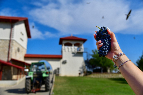 Bucharest: Tour The Wine Road, 2 Boutique Wineries in 1 Day