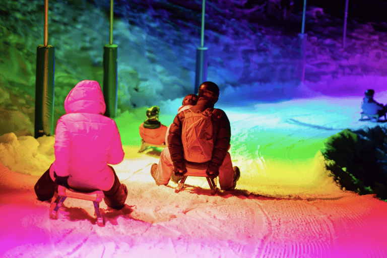 From Zurich: Alpine Mario Kart Light Ride — Snow & Stars