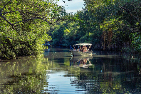Rio de Janeiro: Half-Day Boat Tour in Marapendi Lagoon