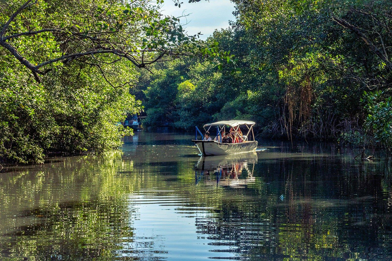 Rio de Janeiro: Half-Day Boat Tour in Marapendi Lagoon