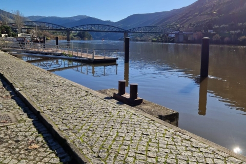 Porto: Douro Valley Tour with Cruise, Lunch & Wine Tasting Guided Tour in Portuguese