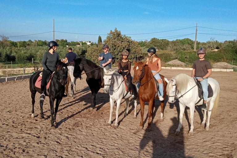 Mallorca : Randa Romantic Sunset Horse Ride With Drinks (en anglais)