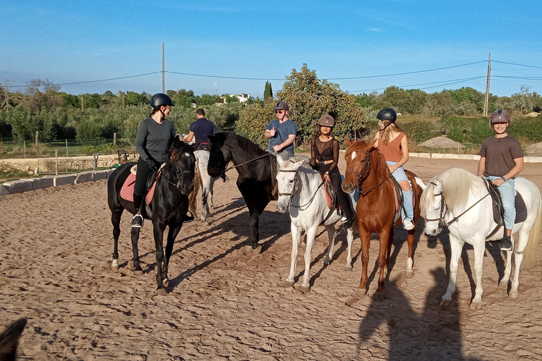 Mallorca: Randa Romántico Paseo a Caballo al Atardecer con Copas