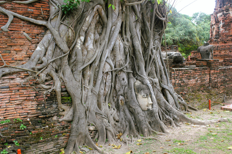 Ayutthaya Temples Private Day Tour from Bangkok Luxury Van for Group up to 9 PAX