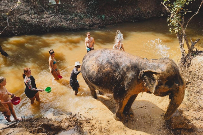 Visite du sanctuaire des éléphants et du temple de Banteay Srey au Cambodge