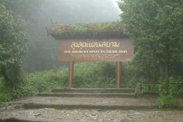 Randonnée dans le parc national de Doi Inthanon et randonnée sur le sentier de Pha Dok SiewVisite du parc national de Doi Inthanon et randonnée sur le sentier Pha Dok Siew