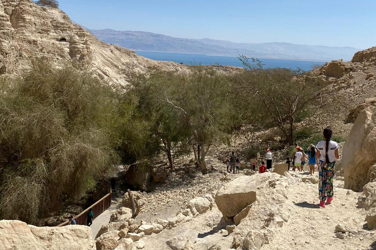 Reserva Natural Ein Gedi e o Mar Morto em russoEin Gedi em russo