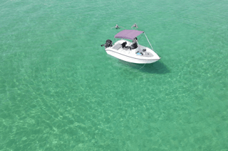 Private boat trip Diaporos or Ammouliani with electric van