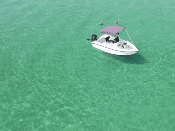 Private boat trip Diaporos or Ammouliani with electric van