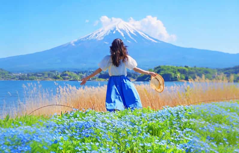 Mt Fuji Top 5 Spots Day Tour: Arakurayama Park,Oshino Hakkai